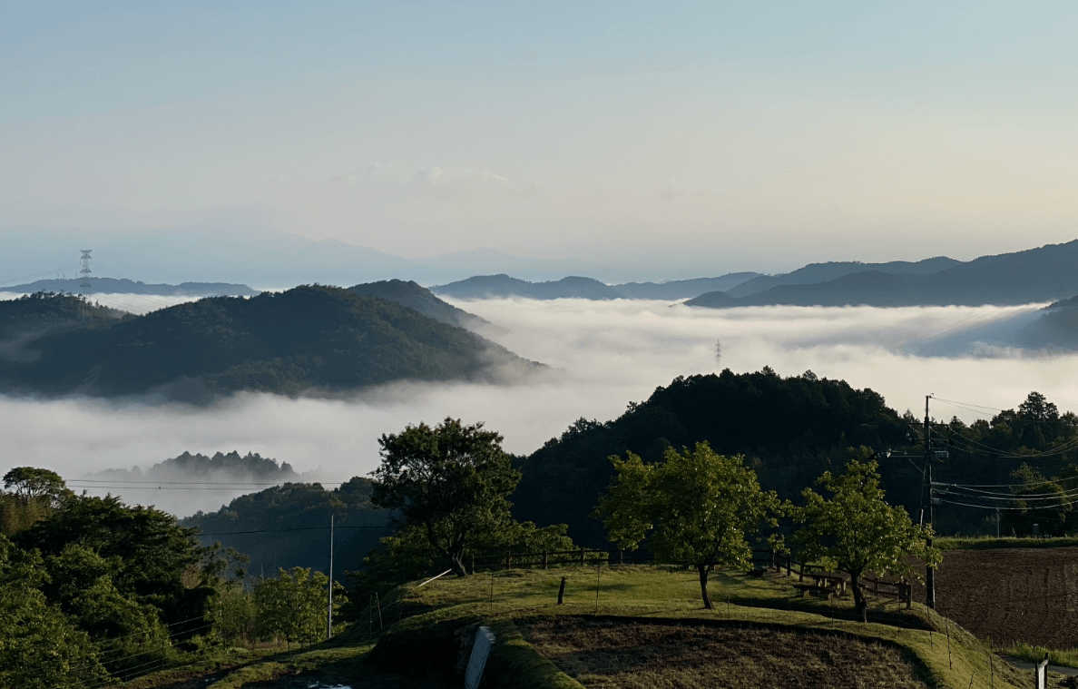 上山について